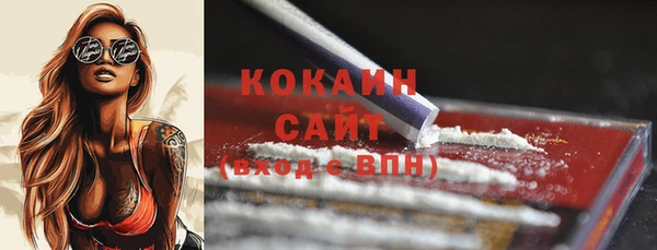 экстази Няндома