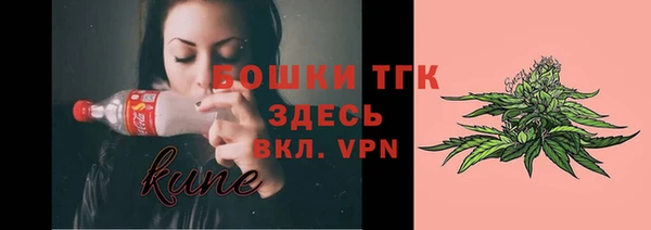 экстази Няндома