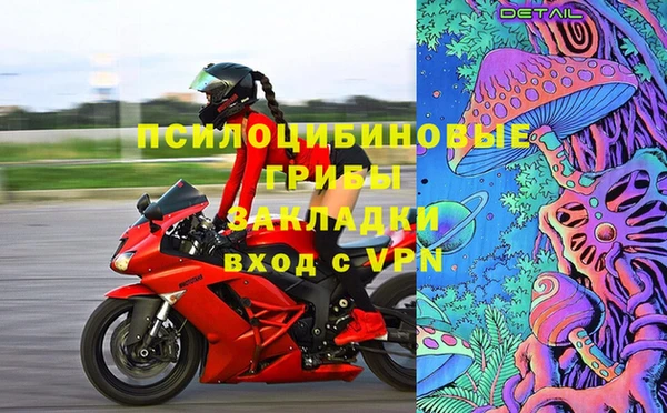 экстази Няндома