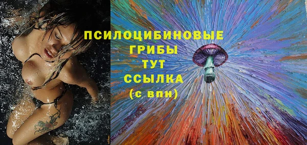 экстази Няндома